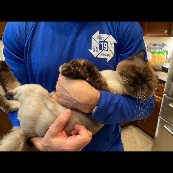 Meet your Posher, Sara - Picture 12 of 12